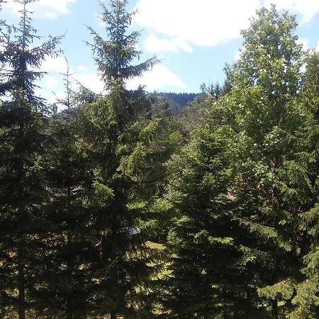 Hugo's House Rakitna