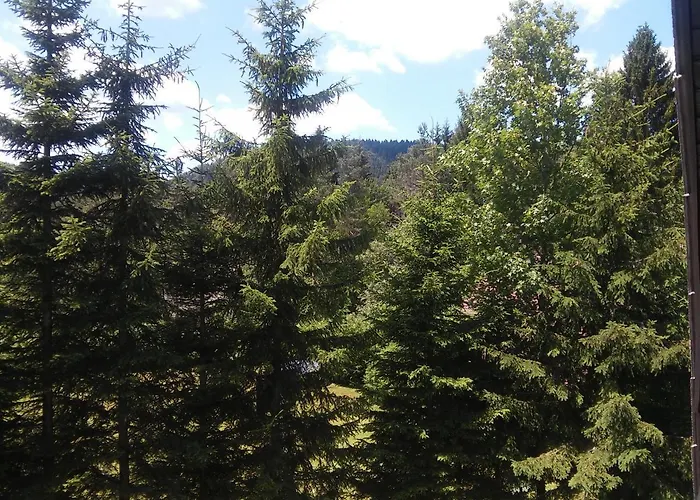 Hugo's House Rakitna